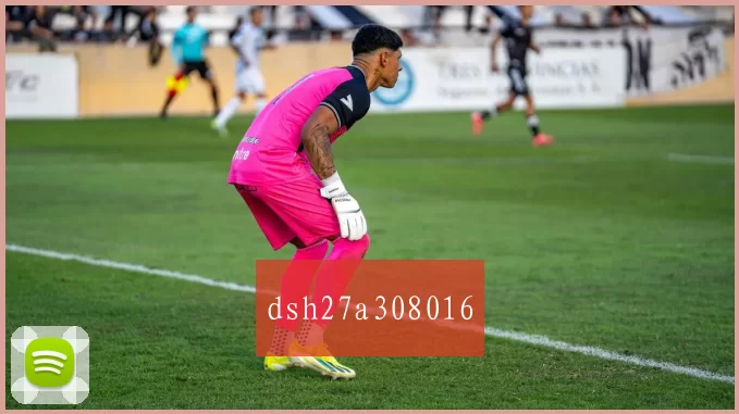 dsh27a308016